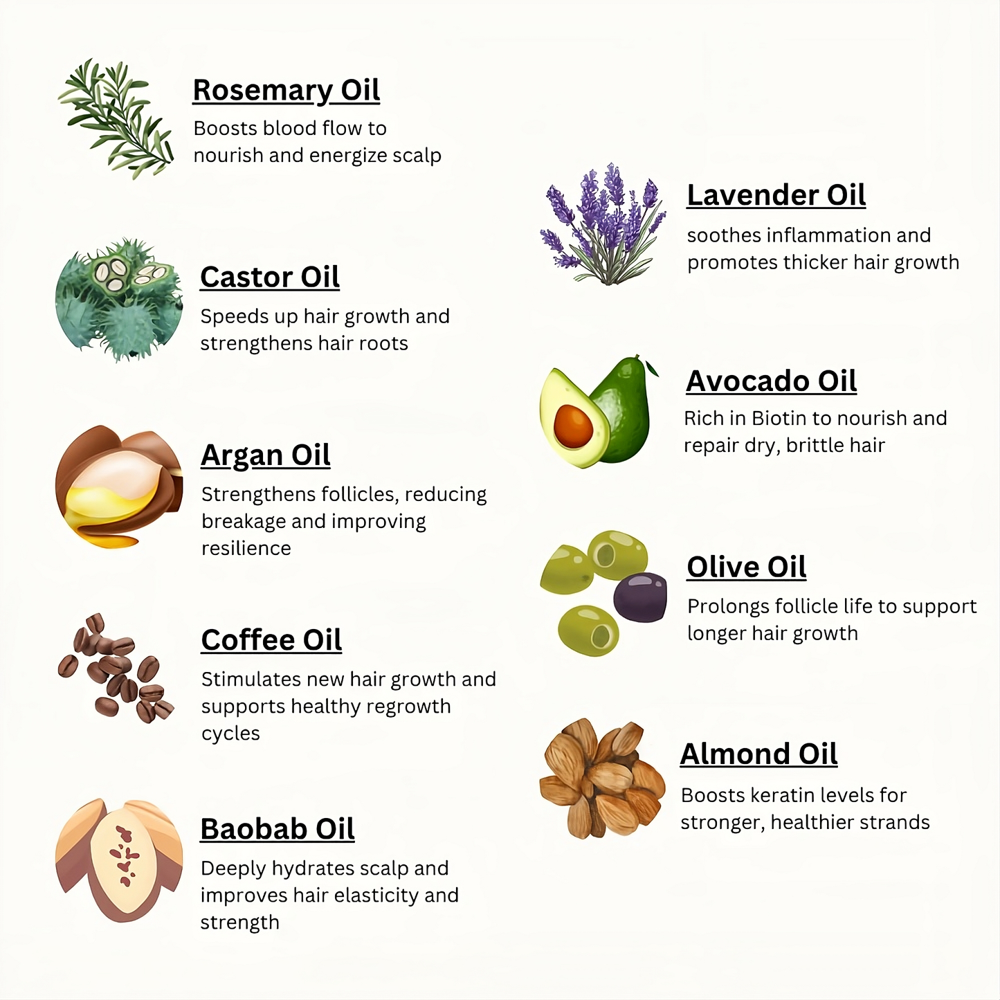 Veganic Natural Hair Oil